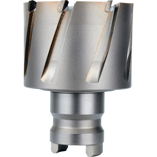 Fraise avec tenon &agrave; changement rapide Drive Hawg, Diam&egrave;tre de 2", Acier, Profondeur de la coupe de 1" NTL Industrial