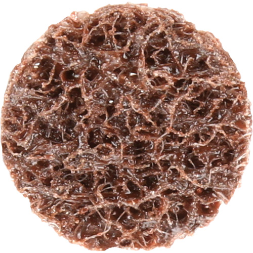 Standard Abrasives Quick-Change Surface Conditioning Disc, 3/4" Dia., Coarse Grit, Aluminum Oxide NTL Industrial