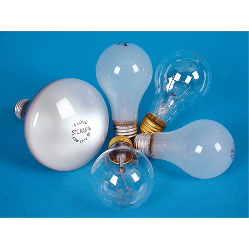 LAMPE INCANDESCENTE,25W,130V,GIVREE,2/PQT NTL Industrial