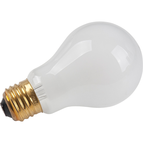 Economy Line Incandescent Lamps NTL Industrial