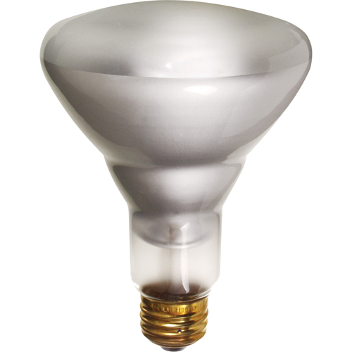 Economy Line Incandescent Lamps NTL Industrial