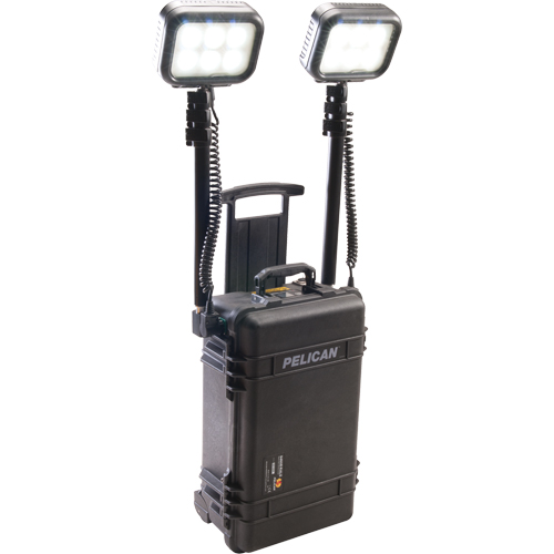 9460 Remote Area Lighting Systems, LED, 12,000 Lumens, Plastic Housing NTL Industrial