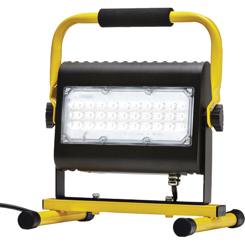 Projecteur d'illumination, DEL, 50 W, 4800 lumens, Boîtier en Aluminium NTL Industrial