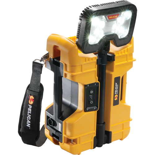 9480 Remote Area Lighting Systems, LED, 41.1 W, 4000 Lumens, Plastic Housing NTL Industrial