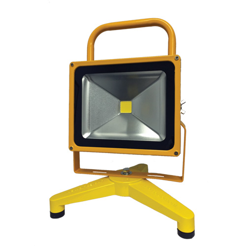 Projecteurs portatifs et rechargeables, DEL, 30 W, 3000 lumens, Boîtier en Aluminium NTL Industrial