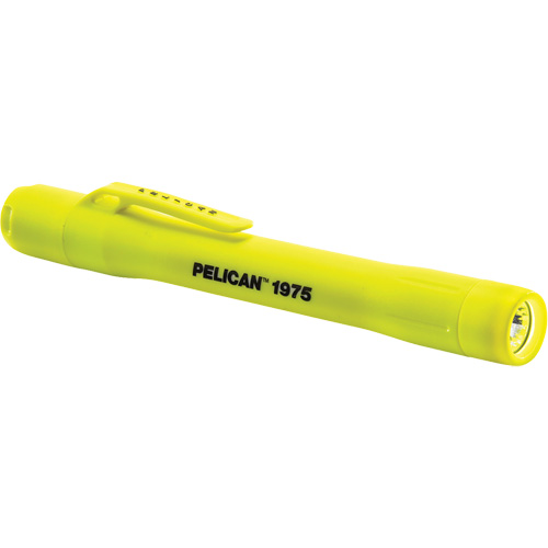Lampe de poche, DEL, 117 lumens, Piles AAA NTL Industrial