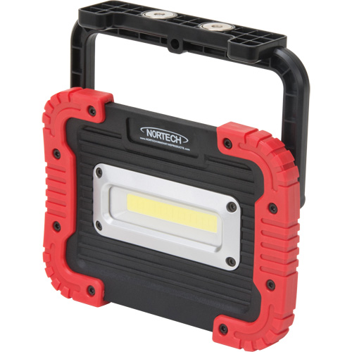 Lampe de travail portative, DEL, 10 W, 1000 lumens, Boîtier en Plastique NTL Industrial