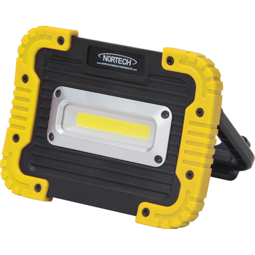 Lampe de travail portative, DEL, 10 W, 1000 lumens, Boîtier en Plastique NTL Industrial