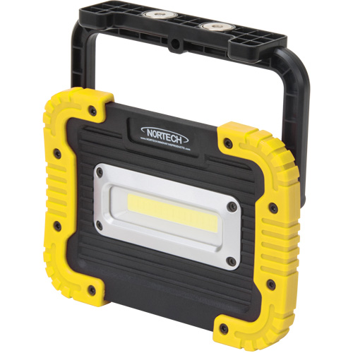 Lampe de travail portative, DEL, 10 W, 1000 lumens, Boîtier en Plastique NTL Industrial