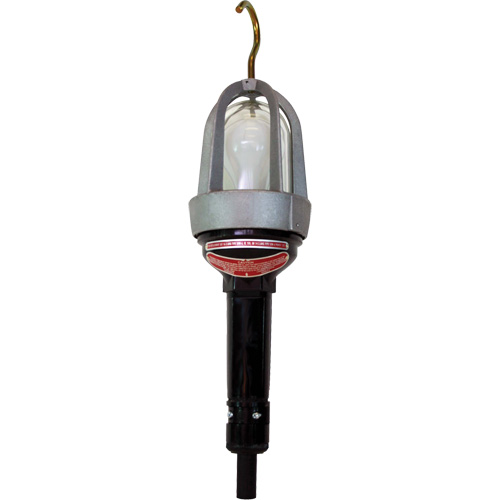 Baladeuses pour emplacements dangereux NTL Industrial