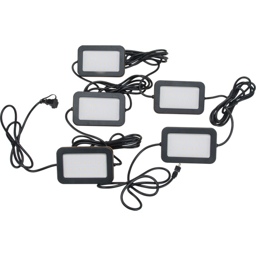 Chaîne de baladeuses DEL, 5 Lumi&egrave;res, 50' lo, Boîtier en Plastique NTL Industrial