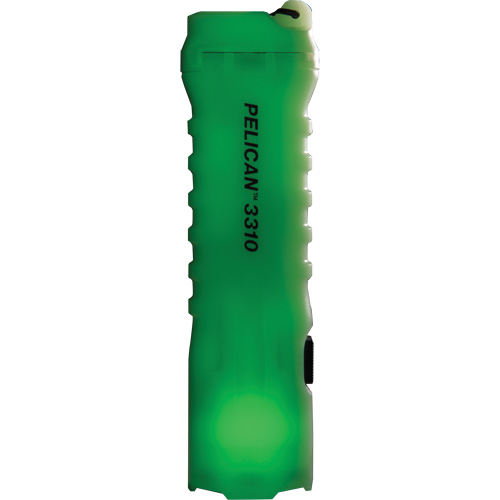 Lampe de poche, DEL, 378 lumens, Piles AA NTL Industrial