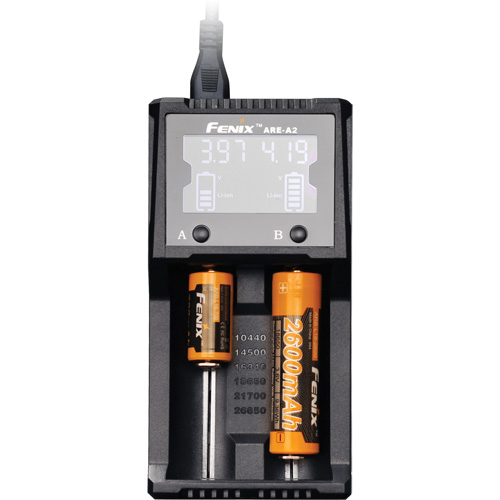 Chargeur de batterie &agrave; deux canaux ARE-A2 NTL Industrial