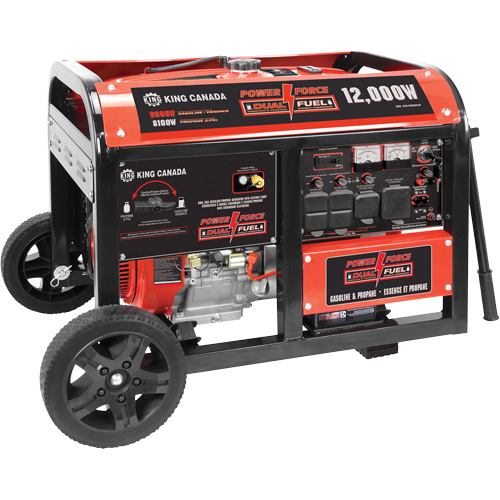 Gasoline/Propane Generator with Electric Start NTL Industrial