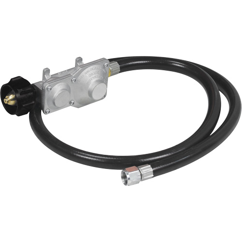 Gasoline/Propane Generator with Electric Start NTL Industrial