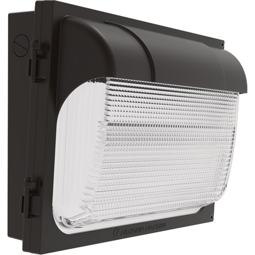 TWX Wall Luminaire, LED, 480 V, 9 W - 54 W, 14" H x 18" W x 5" D NTL Industrial