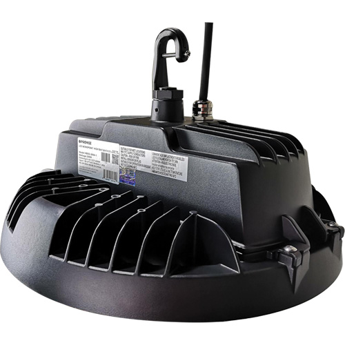 Luminaire pour tr&egrave;s grande hauteur de s&eacute;rie HBX2, DEL, 277 - 480 V, 300 W NTL Industrial