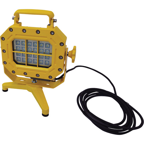 Explosion Proof Floodlight with Stand, LED, 40 W, 5600 Lumens, Aluminum Housing NTL Industrial
