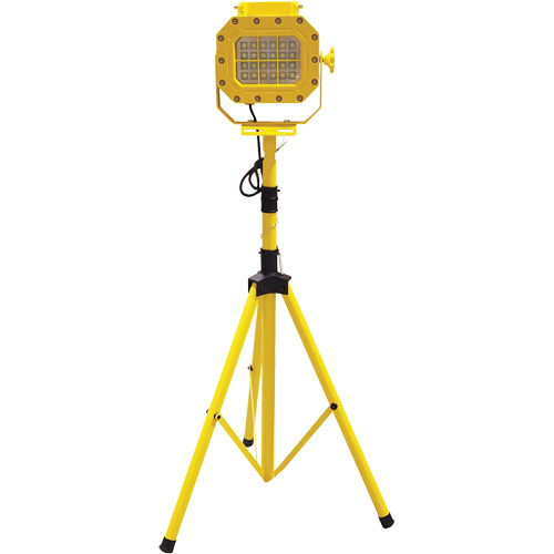 Explosion Proof Floodlight with Tripod, LED, 40 W, 5600 Lumens, Aluminum Housing NTL Industrial