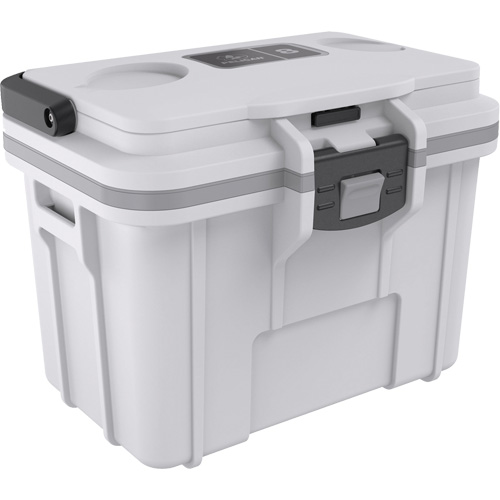 Personal Cooler, 8 qt. Capacity NTL Industrial