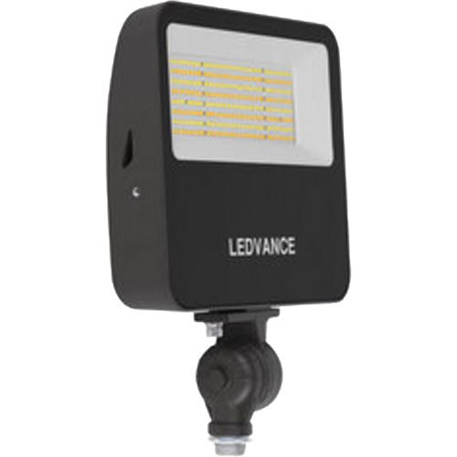 Flood Light NTL Industrial