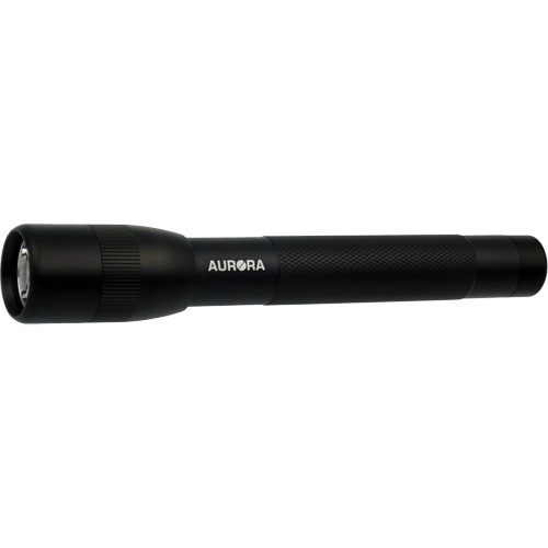 IPX4 Flashlight, 100 Lumens, AA Batteries NTL Industrial