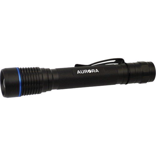 IPX7 Flashlight, LED, 250 Lumens, AA Batteries NTL Industrial