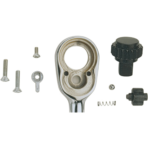 Ratchet Repair Kit NTL Industrial