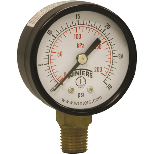 Economy Pressure Gauge, 2" , 0 - 30 psi, Bottom Mount, Analogue NTL Industrial