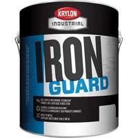 Industrial Iron Guard&reg; Water-Based Enamel, 3.78 L, Gallon, Red NTL Industrial