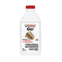 Huile pour moteur de moto Go!, 500 ml, Bouteille NTL Industrial