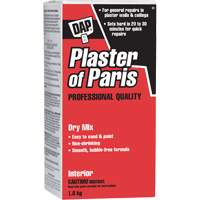 Plaster of Paris Dry Mix, 2 kg, Box NTL Industrial