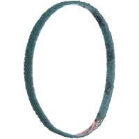 Scotch-Brite Surface Conditioning File Belts NTL Industrial