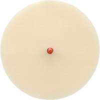 Disque Scotch-Brite 7502 pour retrait de colle et de bandes de moulage, 6" dia. NTL Industrial