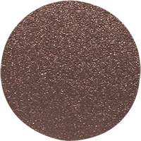 Disque de ponçage pour le bois, 12" dia., Grain 60 NTL Industrial