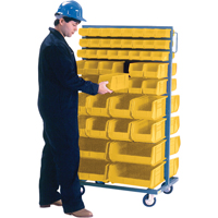 Double-Sided Mobile Bin Rack, Double-sided, 96 bins, 36" W x 24" D x 63" H NTL Industrial