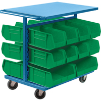 Bin Cart with Bins, Double-sided, 20 bins, 24" W x 38-1/2" D x 36-1/2" H CB689 | NTL Industrial