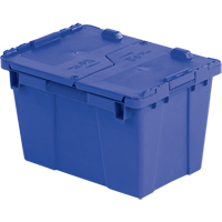Flipak&reg; Polyethylene Plastic (PE) Distribution Containers, 15.2" x 10.9" x 9.7", Blue NTL Industrial