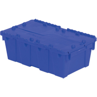 Flipak&reg; Polyethylene Plastic (PE) Distribution Containers, 19.7" x 11.8" x 7.3", Blue NTL Industrial