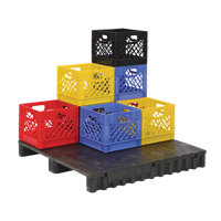 Plastic Dairy Case NTL Industrial