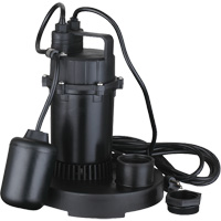 Thermoplastic Submersible Sump Pump, 2560 GPH, 115 V, 4.6 A, 1/3 HP DC843 | NTL Industrial