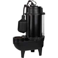 Cast Iron Effluent Pump, 4800 GPH, 120 V, 7.8 A, 1/2 HP DC844 | NTL Industrial