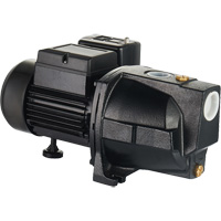 Dual Voltage Cast Iron Shallow Well Jet Pump, 115 V/230 V, 1100 GPH, 1 HP DC853 | NTL Industrial