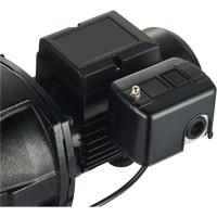 Dual Voltage Cast Iron Shallow Well Jet Pump, 115 V/230 V, 1100 GPH, 1 HP DC853 | NTL Industrial