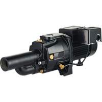 Dual Voltage Cast Iron Convertible Jet Pump, 115 V/230 V, 1100 GPH, 1/2 HP DC855 | NTL Industrial
