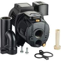 Dual Voltage Cast Iron Convertible Jet Pump, 115 V/230 V, 1100 GPH, 1/2 HP DC855 | NTL Industrial