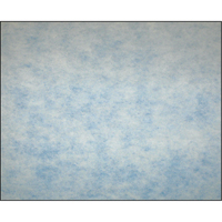 Filtres en m&eacute;dias synth&eacute;tiques &agrave; arrestance &eacute;lev&eacute;e, Tampon, MERV 5, 24" la x 2" p x 12" h NTL Industrial