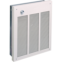 Commercial Fan Forced Wall Heater, Wall EA541 | NTL Industrial