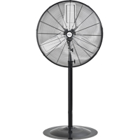 Oscillating Pedestal Fan, Heavy-Duty, 2 Speed, 30" Diameter NTL Industrial