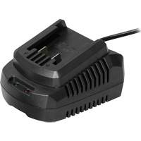 Single Battery Charger, 20 V NTL Industrial